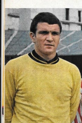 Paul Simeoni 1966-1967