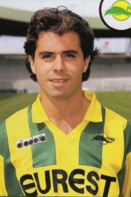 Stéphane Ziani 1993-1994