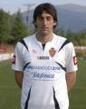 Diego Milito 2007-2008