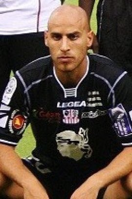 Ludovic Guerriero 2008-2009