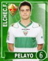  Pelayo 2012-2013