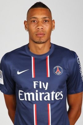 Guillaume Hoarau 2012-2013