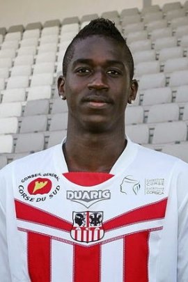 Wilfried Zahibo 2012-2013