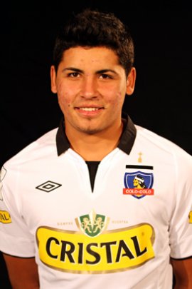 Luis Alberto Pavez Muñoz 2012-2013