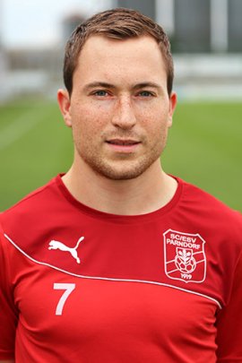 Dominik Silberbauer 2012-2013