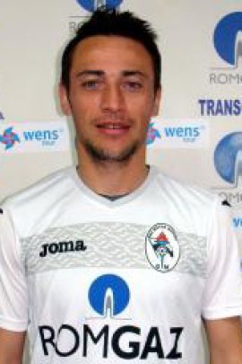 Ciprian Catalin Petre 2012-2013