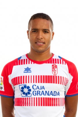 Youssef El Arabi 2012-2013