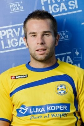 Ivan Brecevic 2012-2013