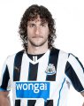 Fabricio Coloccini 2013-2014