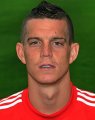 Daniel Agger 2013-2014