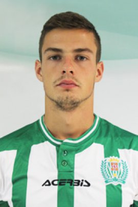 Aleksandar Pantic 2013-2014