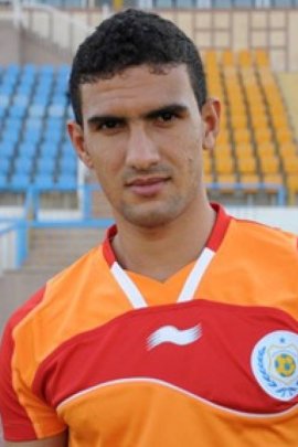 Mohamed Awwad 2013-2014