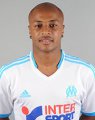 André Ayew 2013-2014