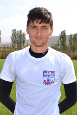 Arman Meliksetyan 2013-2014