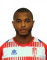 Yacine Brahimi 2013-2014