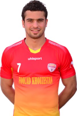 Soroush Rafaei 2013-2014