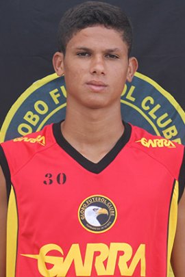  Erick Varão 2013-2014