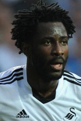 Wilfried Bony 2013-2014