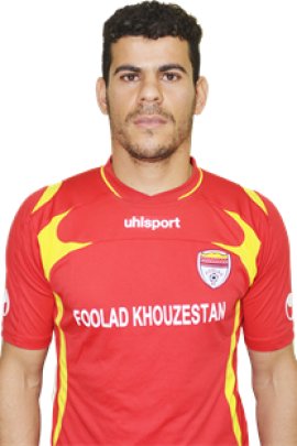 Ahmad Alenemeh 2013-2014