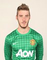 David De Gea 2013-2014