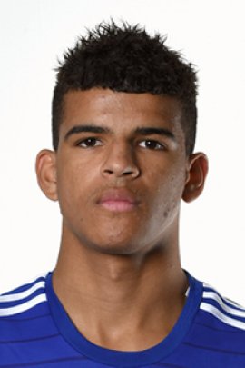 Dominic Solanke 2014-2015