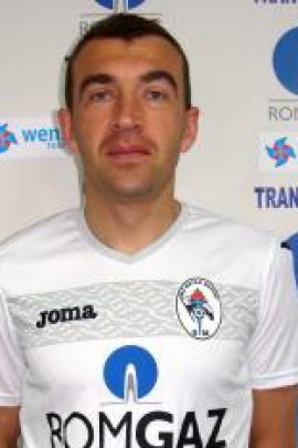 Cristian Todea 2014-2015