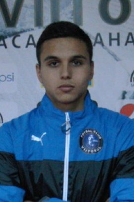 Cristian Manea 2014-2015