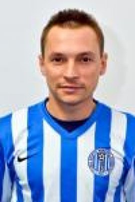 Liviu Mihai II 2014-2015