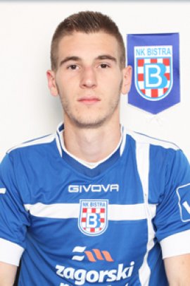 Petar Simunic 2014-2015