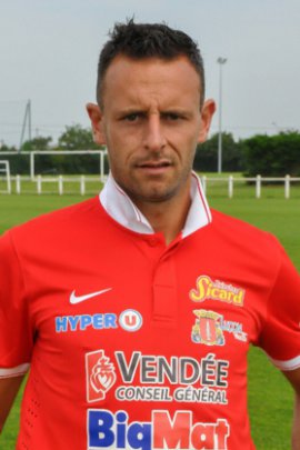 Cédric Ruault 2014-2015