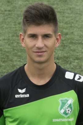 Attila Osvath 2014-2015