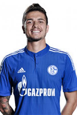 Roman Neustädter 2014-2015