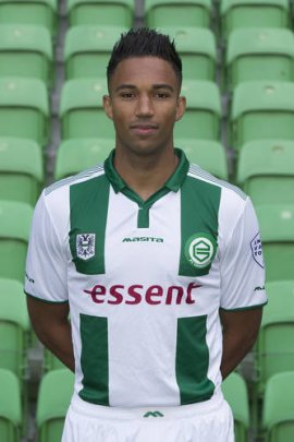 Danny Hoesen 2014-2015