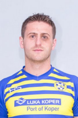 Damir Hadzic 2014-2015