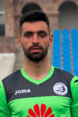 Arsen Beglaryan 2015-2016