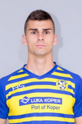 Amar Rahmanovic 2015-2016