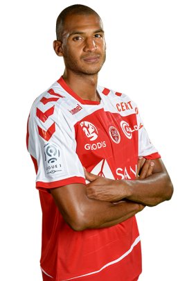 David Ngog 2015-2016