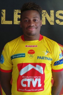 Laurent Amiens 2015-2016