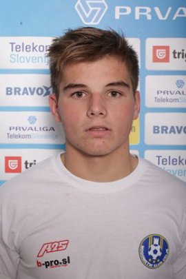 Janez Pisek 2015-2016