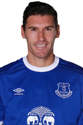 Gareth Barry 2016-2017