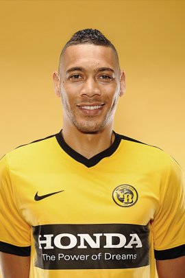 Guillaume Hoarau 2016-2017