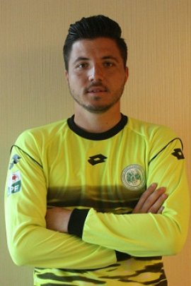 Cristian Balgradean 2016-2017
