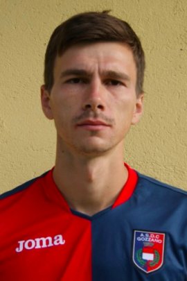 Vladimir Mikhaylovskiy 2016-2017