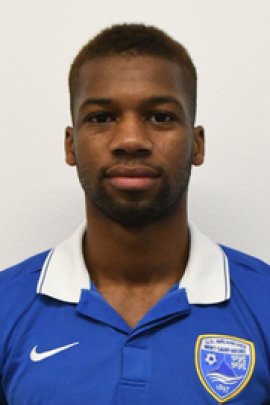 Ibrahim Sangaré 2016-2017