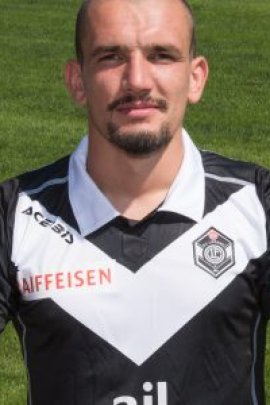 Vladimir Golemic 2016-2017