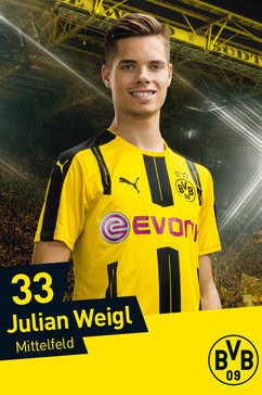 Julian Weigl 2016-2017
