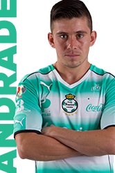 David Andrade 2016-2017