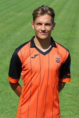 Nicolò Pozzebon 2016-2017