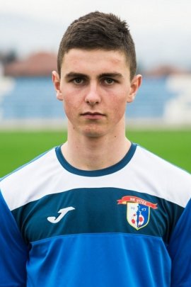 Vedran Vrhovac 2016-2017