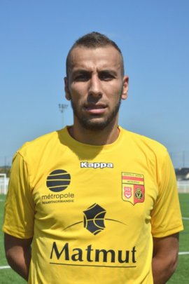 Mehdy Guezoui 2016-2017